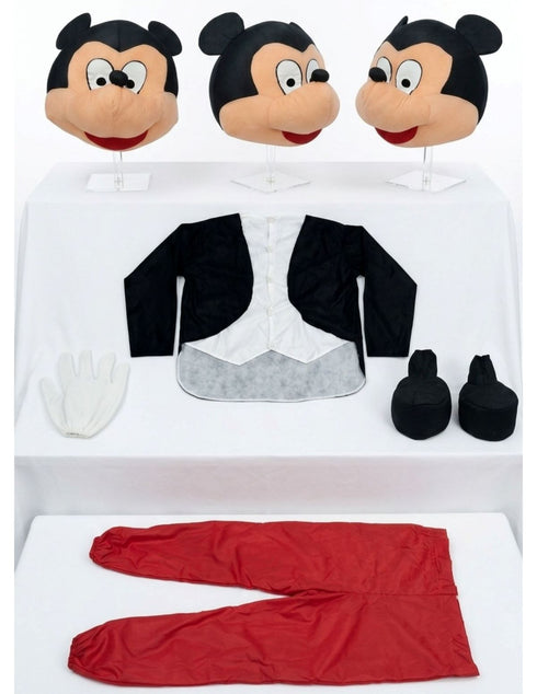 The Brave Friendly Mouse Cartoon Character Mascot Costume for Events | Adults | Full Size Adults