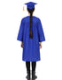 Blue Graduate Scholar Graduation Day Gown Kids & Adults Fancy Dress Costume