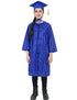Blue Graduate Scholar Graduation Day Gown Kids & Adults Fancy Dress Costume