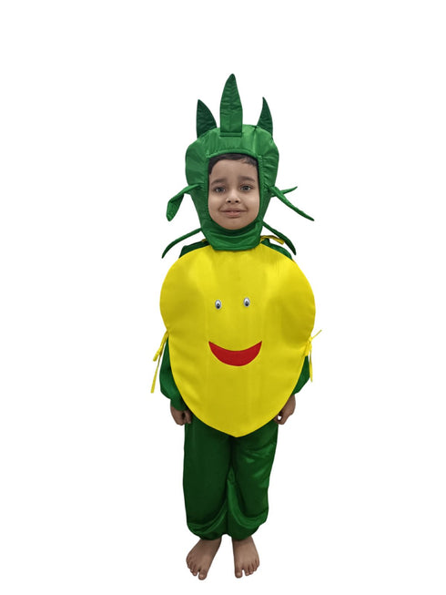 BookMyCostume Lemon Nimbu Fruit Vegetable Kids Fancy Dress Costume