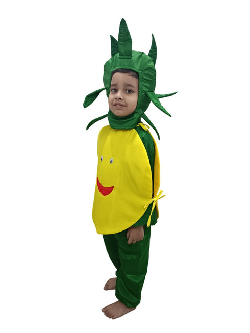 BookMyCostume Lemon Nimbu Fruit Vegetable Kids Fancy Dress Costume