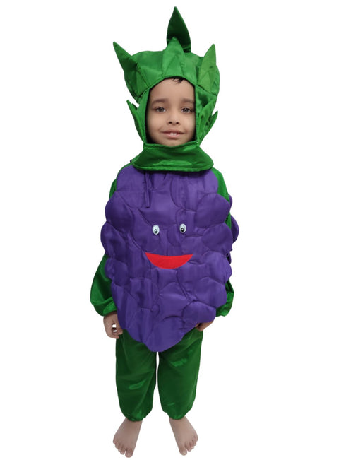 Grapes Purple Angoor Fruit Kids Fancy Dress Costume