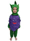 Grapes Purple Angoor Fruit Kids Fancy Dress Costume