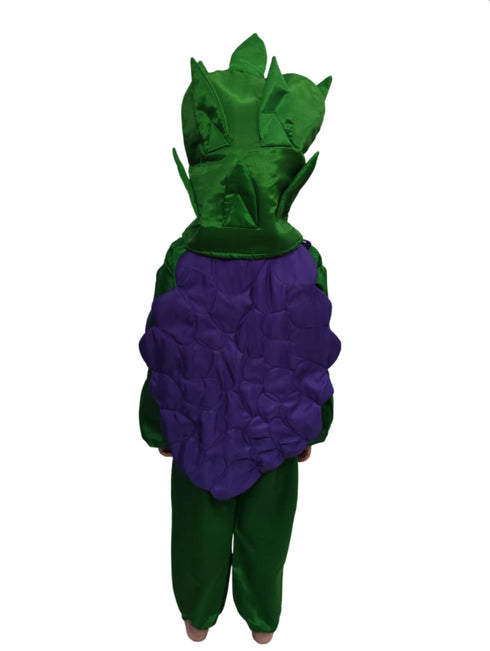 Grapes Purple Angoor Fruit Kids Fancy Dress Costume