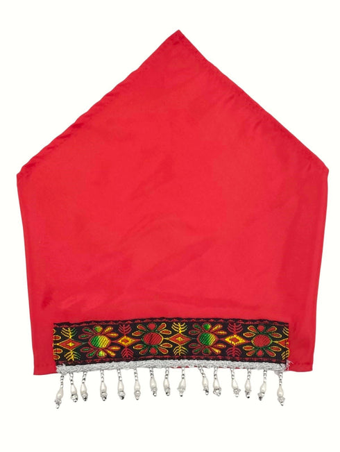 BookMyCostume Kashmiri Girl with Jewellery Indian State For Girl's & Women  Fancy Dress Costume