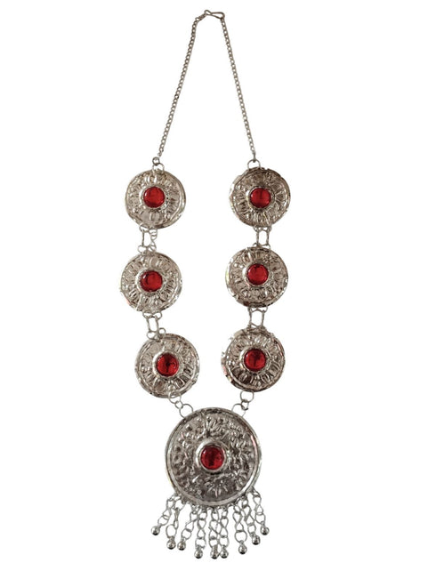 BookMyCostume Kashmiri Girl with Jewellery Indian State For Girl's & Women  Fancy Dress Costume