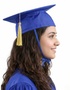 Blue Graduate Scholar Cap Graduation Day Kids & Adults Fancy Dress Costume Accessory