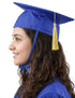 Blue Graduate Scholar Cap Graduation Day Kids & Adults Fancy Dress Costume Accessory