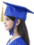 Blue Graduate Scholar Cap Graduation Day Kids & Adults Fancy Dress Costume Accessory