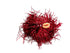 Red Pom Poms Cheerleader Dance Kids & Adults Costume Accessory