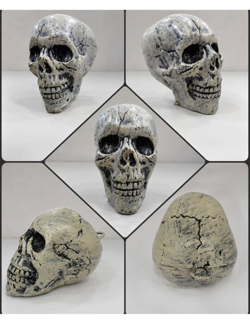 Small Skull Toy Halloween Ghost Showpiece Decoration Kids Adults Fancy Dress Costume Accessory