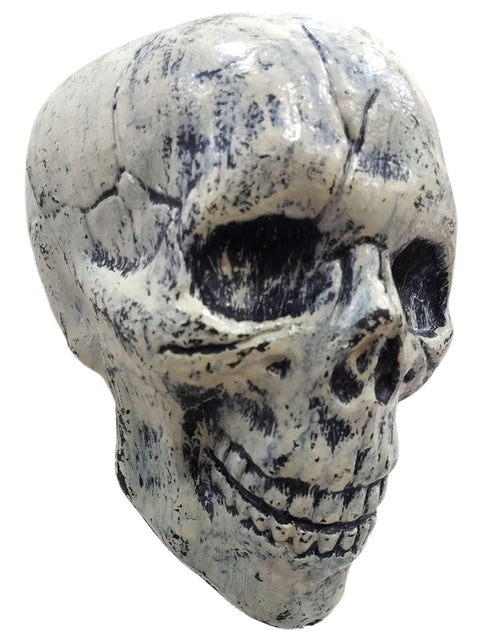 Small Skull Toy Halloween Ghost Showpiece Decoration Kids Adults Fancy Dress Costume Accessory