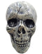 Small Skull Toy Halloween Ghost Showpiece Decoration Kids Adults Fancy Dress Costume Accessory