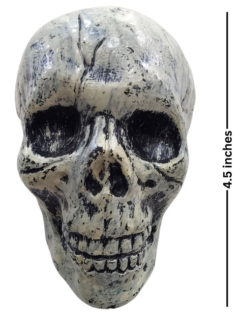 Small Skull Toy Halloween Ghost Showpiece Decoration Kids Adults Fancy Dress Costume Accessory