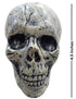 Small Skull Toy Halloween Ghost Showpiece Decoration Kids Adults Fancy Dress Costume Accessory