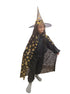 Golden and Black Witch Cape with Hat - Witch Costume for Girls with Printed witch Pumkin Design and Pumpkin Basket Combo | Halloween Costume for Girls