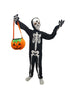 BookMyCostume Scary Ghost Bhoot Skeleton Printed Body Suit With Mask And Gloves with Pumpkin Basket Halloween Costume for Theme Party For Boys | Kids