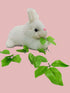 BookMyCostume Rabbit Soft Toy for Kids Animal | Cute Rabbit Stuffed Animal Gift for Girls & Boys