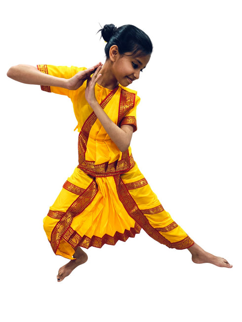 Yellow & Red Bharatanatyam Saree Indian Classical Dance Costume for Girls | Kids & Adult Fancy Dress Costume