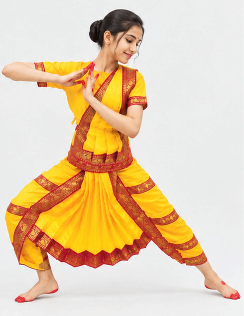 Yellow & Red Bharatanatyam Saree Indian Classical Dance Costume for Girls | Kids & Adult Fancy Dress Costume