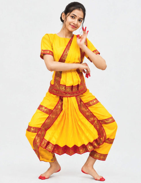 Yellow & Red Bharatanatyam Saree Indian Classical Dance Costume for Girls | Kids & Adult Fancy Dress Costume