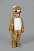 Tiger Bagh Animal Kids Fancy Dress Costume - Imported