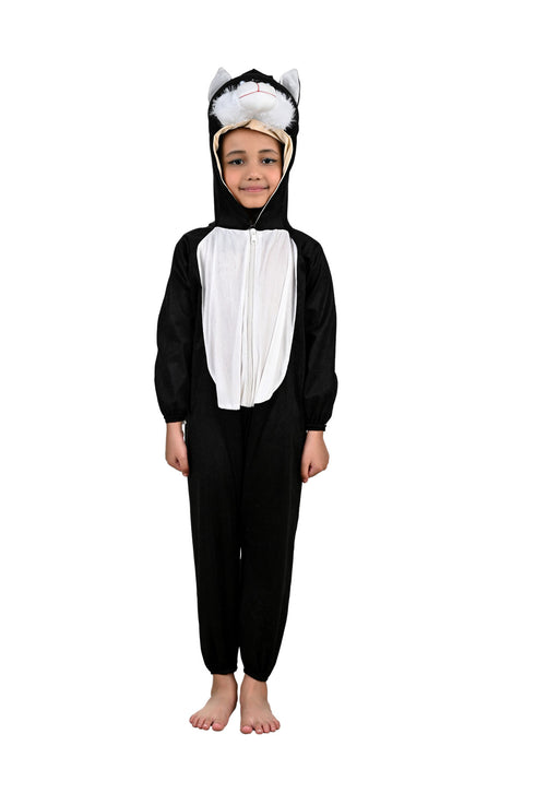 BookMyCostume Cat Billi Domestic Animal Kids Fancy Dress Costume for School Competitions and Events | For Kids
