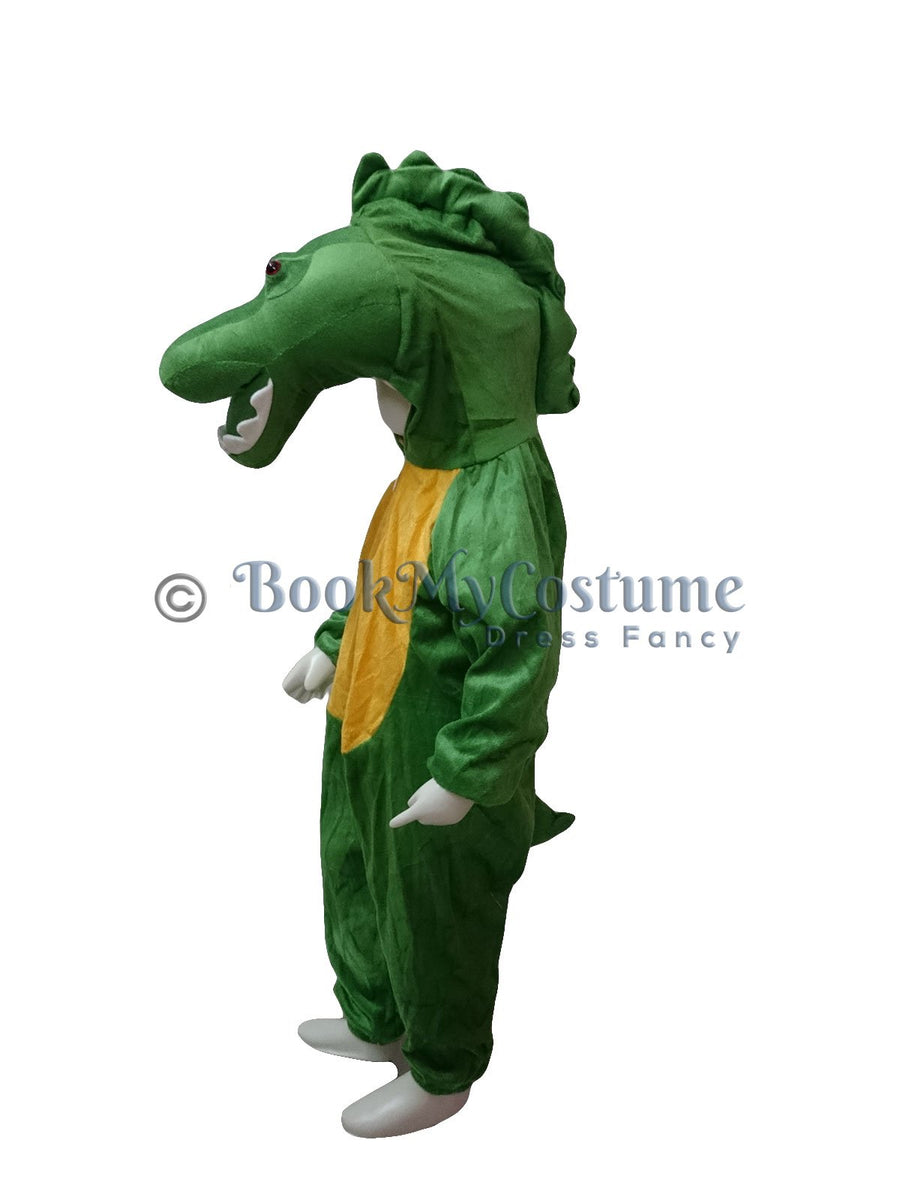 Crocodile Water Animal Kids Fancy Dress Costume