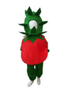 Tomato Vegetable Kids Fancy Dress Costume Online in India