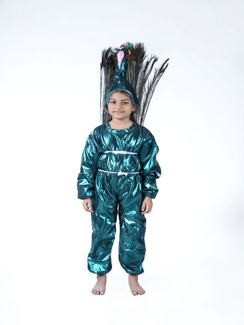 Book My Costume Peacock (with Feathers) Bird Fancy Dress Costume