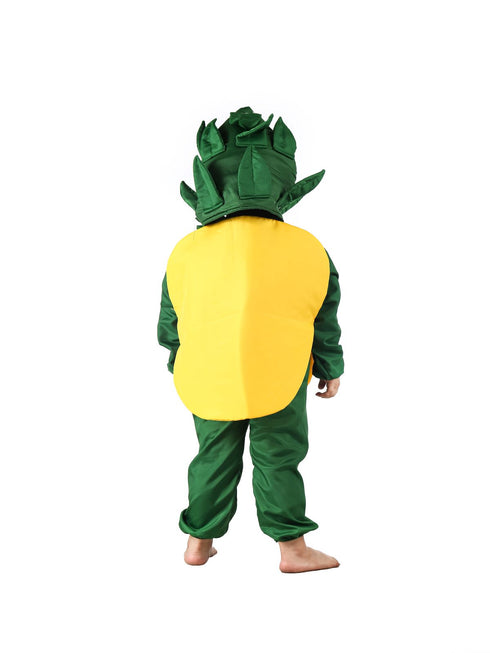 BookMyCostume Pineapple Fruit Kids Fancy Dress Costume