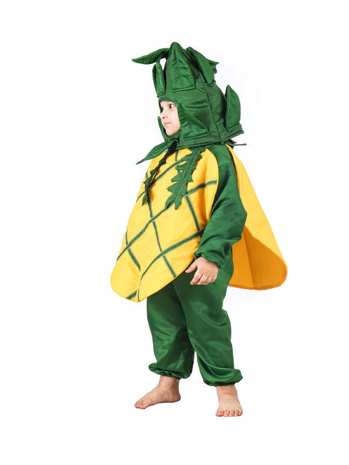 BookMyCostume Pineapple Fruit Kids Fancy Dress Costume