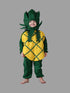 BookMyCostume Pineapple Fruit Kids Fancy Dress Costume