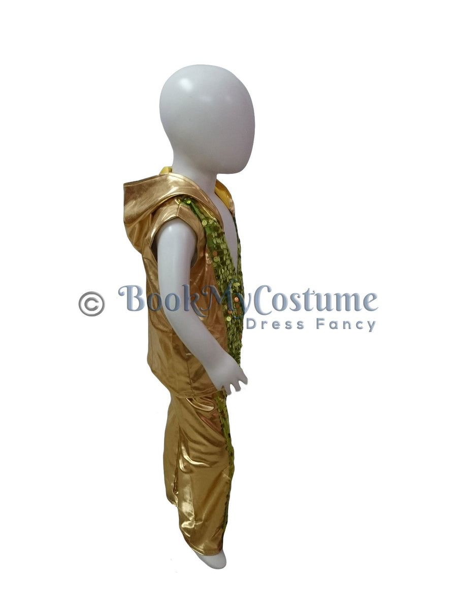 Rent Buy Western Dance Costume Tshirt & Pant for Boys Online in India - Green Golden color combination
