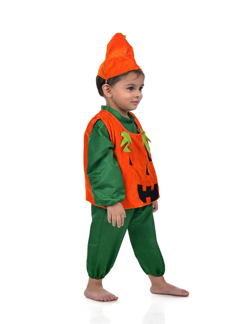 BookMyCostume Pumpkin Vegetable Kids Fancy Dress Costume
