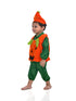 BookMyCostume Pumpkin Vegetable Kids Fancy Dress Costume