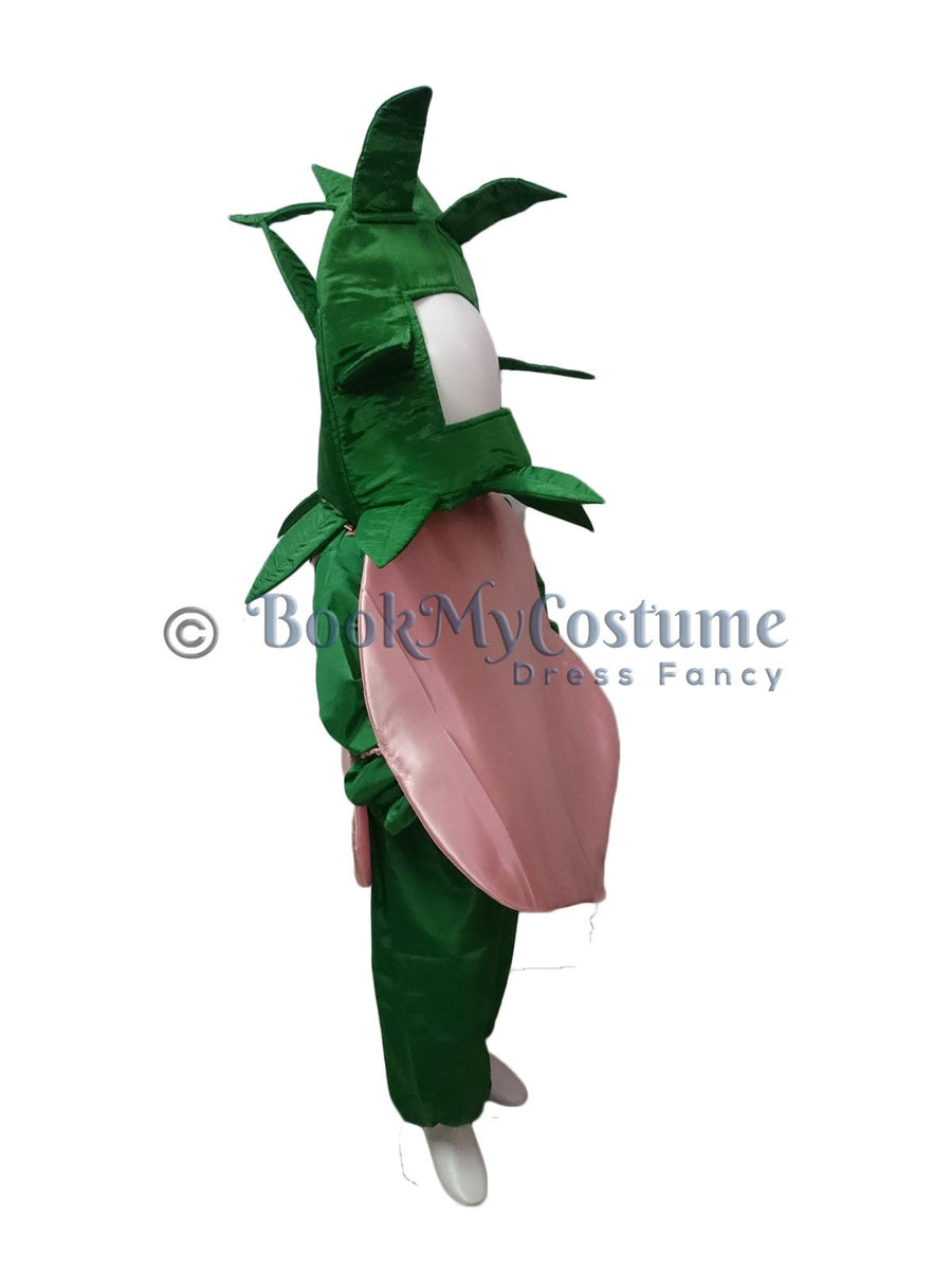 Onion Pyaz Kids Fancy Dress Costume Online in India