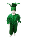 Cauliflower Phool Kids Fancy Dress Costume Online in India