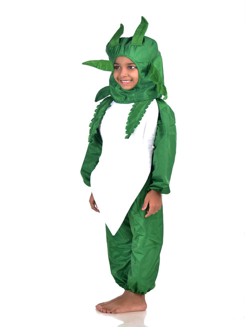 BookMyCostume Radish Mooli Vegetable Kids Fancy Dress Costume