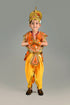 BookMyCostume Indian Raja King Historical Mythology Kids & Adults Fancy Dress Costume
