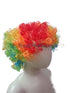 Buy Joker Clown Hair Wig & Foam Nose Unisex Adult & Kids Fancy Dress Costume Accessory