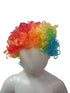 Buy Joker Clown Hair Wig & Foam Nose Unisex Adult & Kids Fancy Dress Costume Accessory