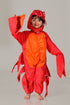 BookMyCostume Crab Aquatic Animal  Kids Fancy Dress Costume