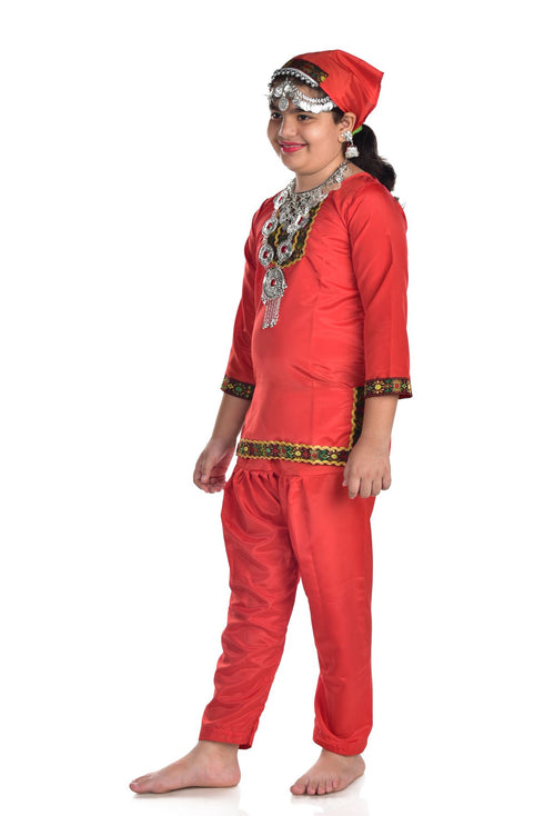 BookMyCostume Kashmiri Girl with Jewellery Indian State For Girl's & Women  Fancy Dress Costume