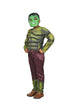 BookMyCostume The Green Smasher Superhero Kids Fancy Dress Costume - Muscle Look - Imported