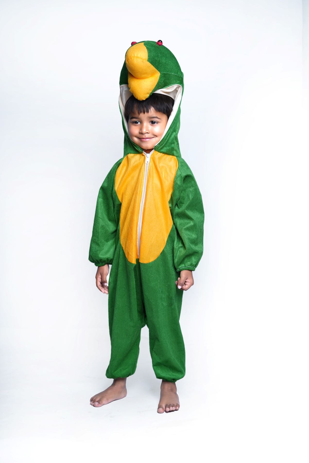 Frog Aquatic Animal Kids Fancy Dress Costume1