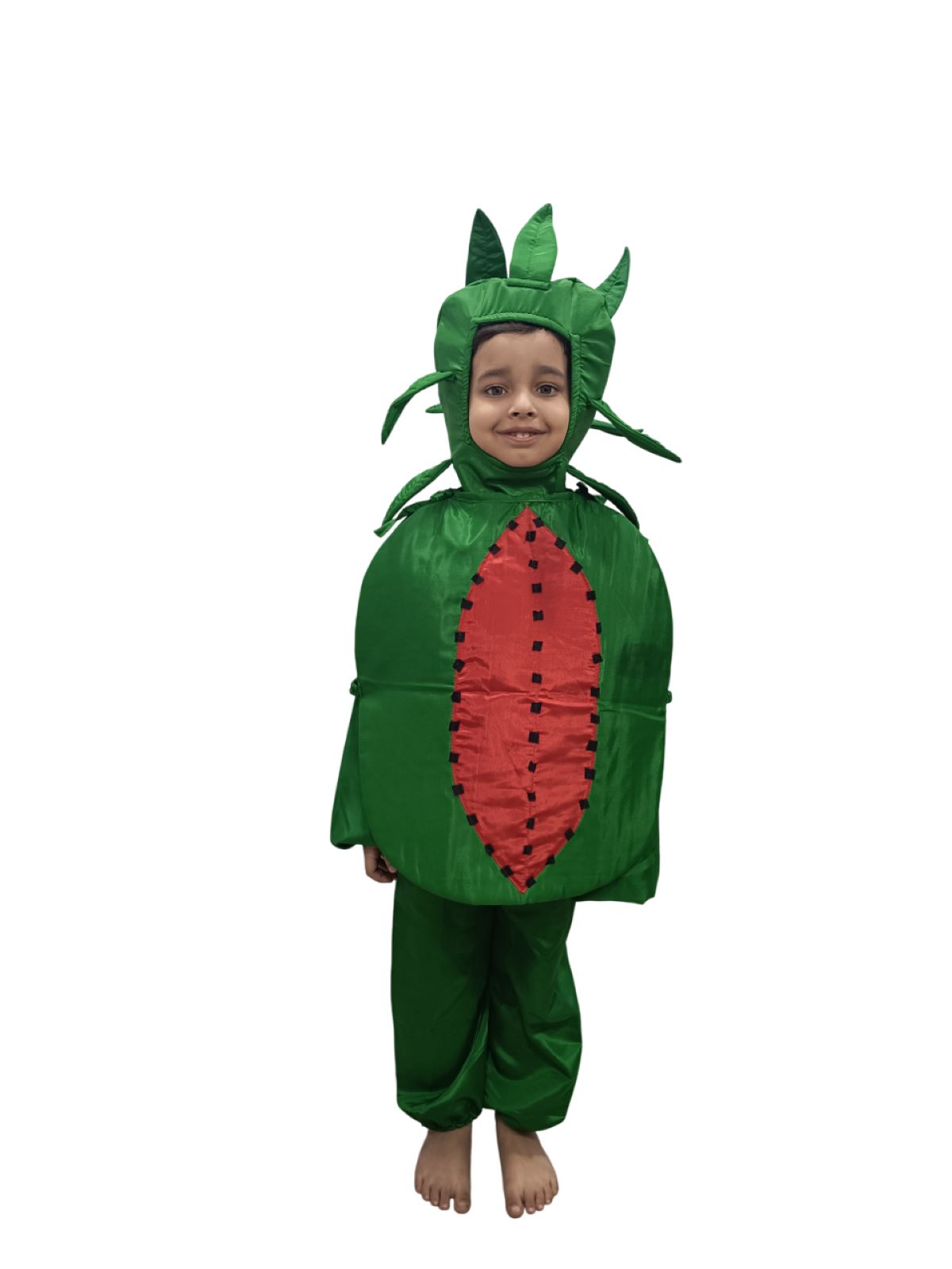 Fruit Watermelon Baby Costume Fancy Dress Watermelon Outfit Girl