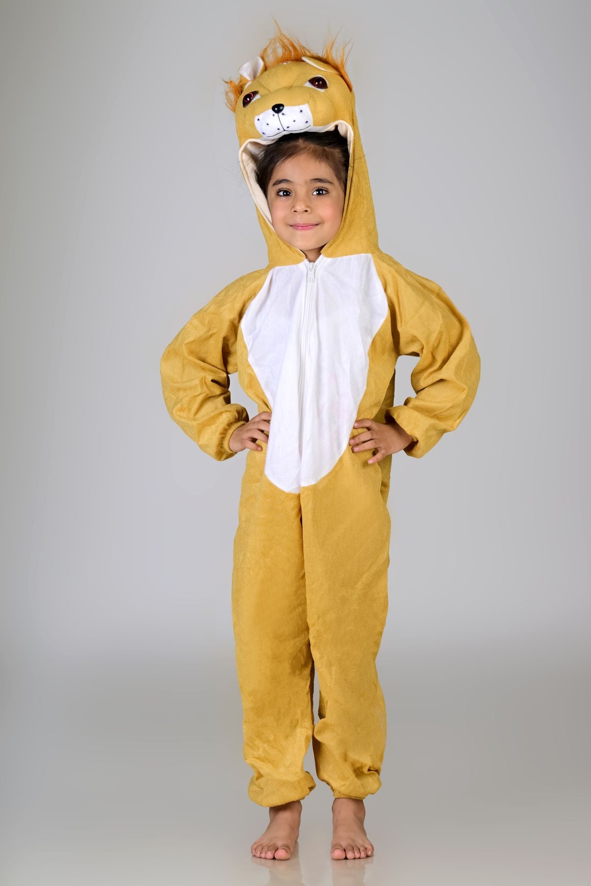 Rent or Buy Lion Sher Animal Kids Fancy Dress Costume Online in India