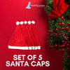 Set of 5 Santa Caps Combo Adults & Kids Fancy Dress Accessory