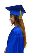 Blue Graduate Scholar Cap Graduation Day Kids & Adults Fancy Dress Costume Accessory